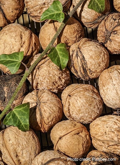 Economic and Profitability Analysis of Walnut Production in Kashmir Valley, India