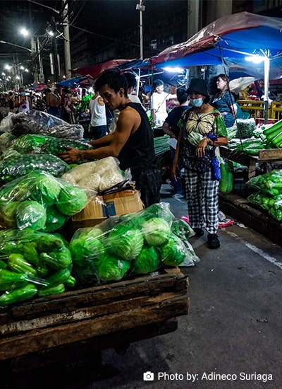 Growth, Poverty, and Food Policy in the Philippines: Lessons for the Post-COVID-19 Era