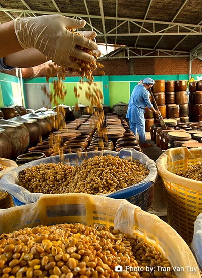 Developing a National Agri-Food Composition Database to Support Nutrition, Trade, and Rural Development in Vietnam