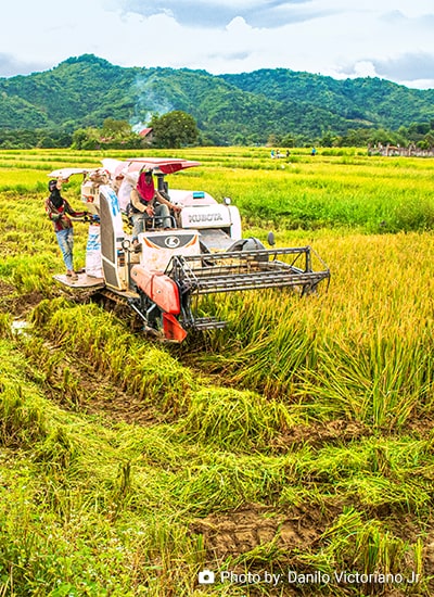 Unpacking the Climate Change Adaptation 