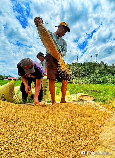 Evaluating Policies for the Philippine Rice Market: Applications of the REMEDIOS Model