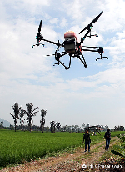 Flying LoRaWAN IoT Gateway for Oil Palm Plantation Monitoring